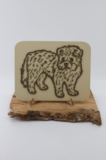 Foto 3D Wood color